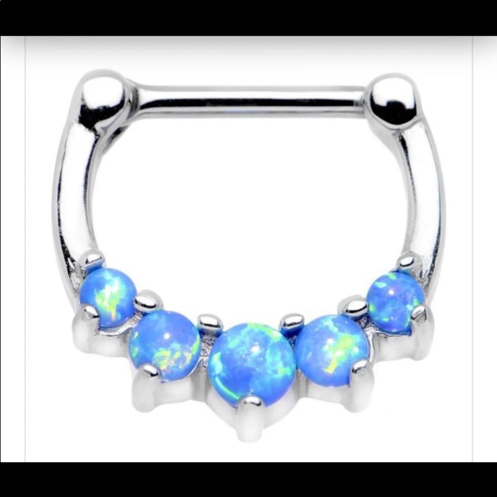 Septum ring